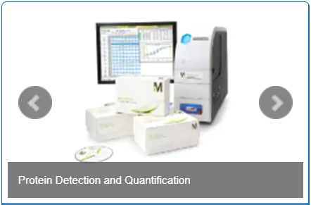 Protein detection and quantification